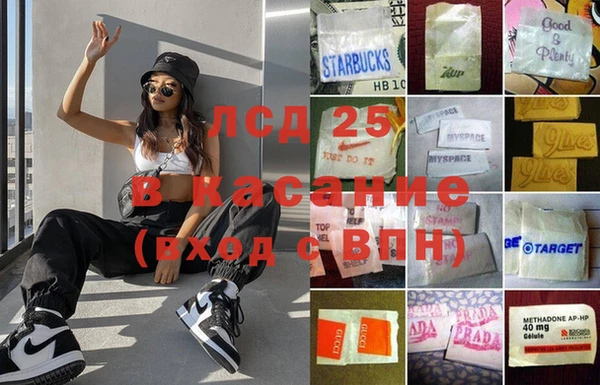 амф Бородино