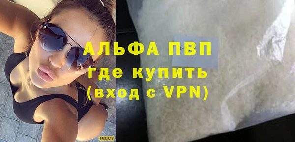 амф Бородино