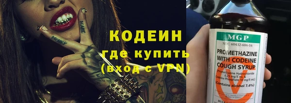 амф Бородино