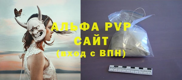 амф Бородино
