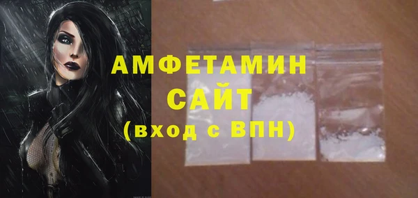 амф Бородино