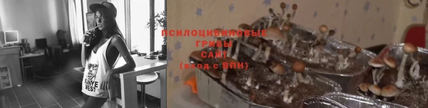 mdpv Бугульма
