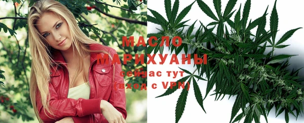 амф Бородино