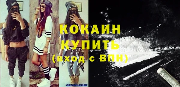 амф Бородино