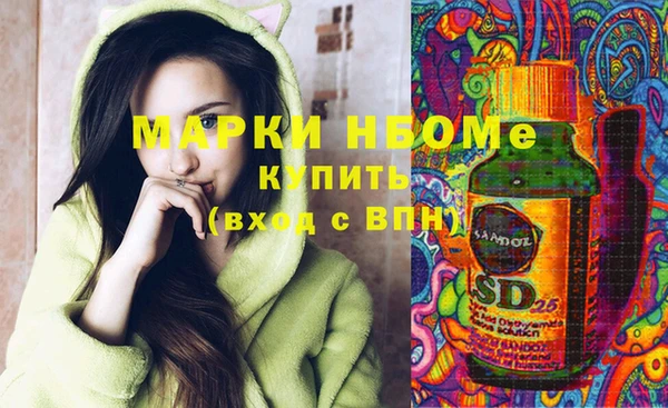 амф Бородино